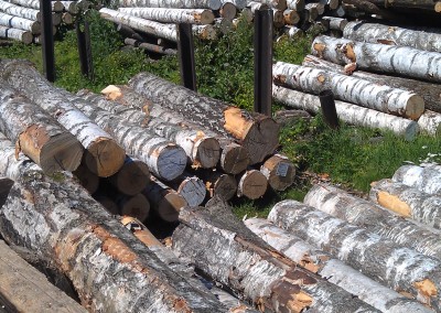 Well Managed Forestry Logs